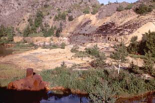 Old Mine Site