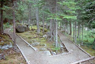 Rattling Brook Trail